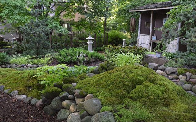 How to Grow Moss Naturally in Your Garden